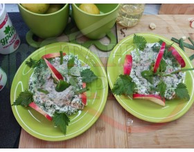 БЪЛГАРСКИ КОПРИВНИ СУРОВИ СУПИ