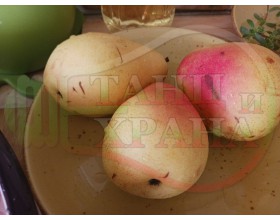 РЕЦЕПТИ С КРУШИ