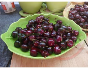 РЕЦЕПТИ С ПЛОДОВЕ