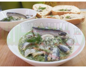 БЪЛГАРСКИ РИБЕНИ СУРОВИ СУПИ